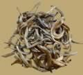 Gold Bud Pu-erh