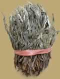 Arbor Tree Loose Leaf Raw Pu-erh
