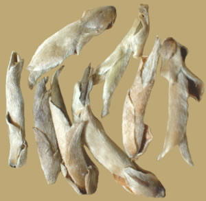 Wild Tea Tree Sliver Bud