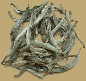 Raw Pu-erh Mao Cha